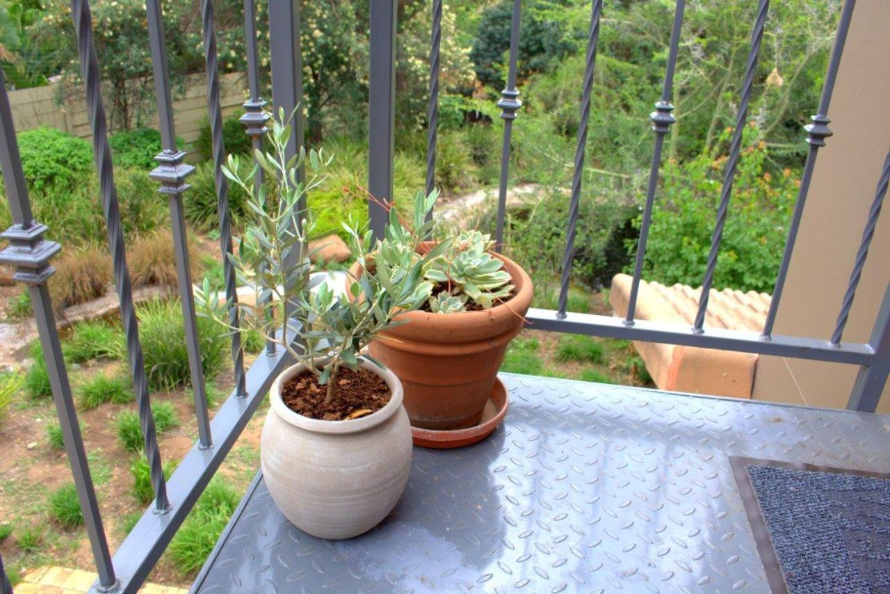 Wild Olive Executive Suite Johannesburgo Exterior foto